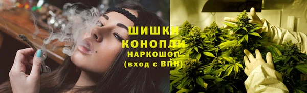СК Арсеньев