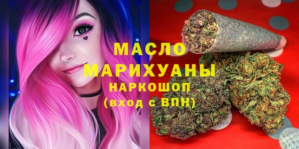 индика Приозерск
