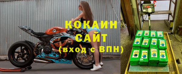 СК Арсеньев