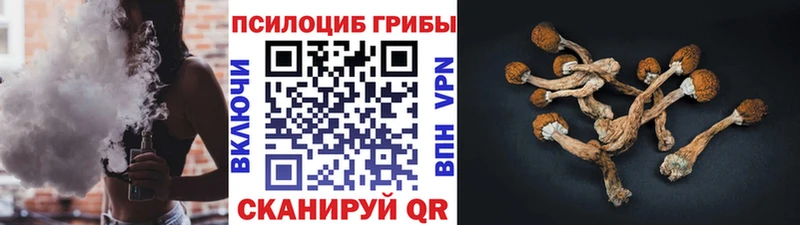 Псилоцибиновые грибы Psilocybe  продажа наркотиков  Бокситогорск 